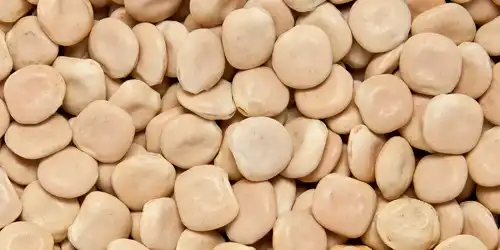 Lupin Beans